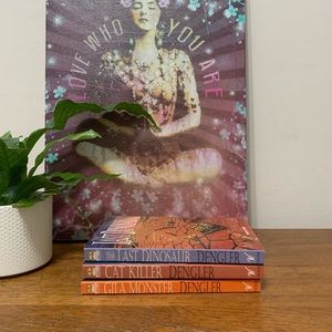 Sandy Dengler books 1-3-4 💋bundle💋